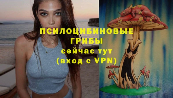 spice Алексин