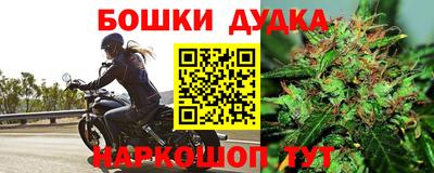PSILOCYBIN Братск
