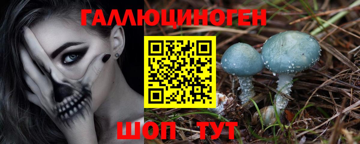 Галлюциногенные грибы Psilocybine cubensis Барнаул